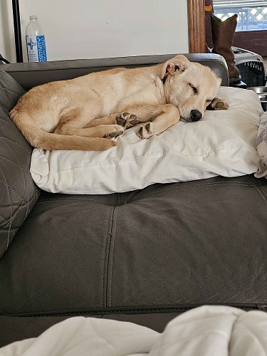 Student With Folder Picture