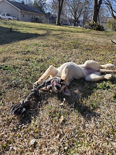 Student With Folder Picture