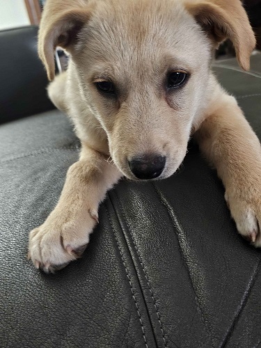 Student With Folder Picture
